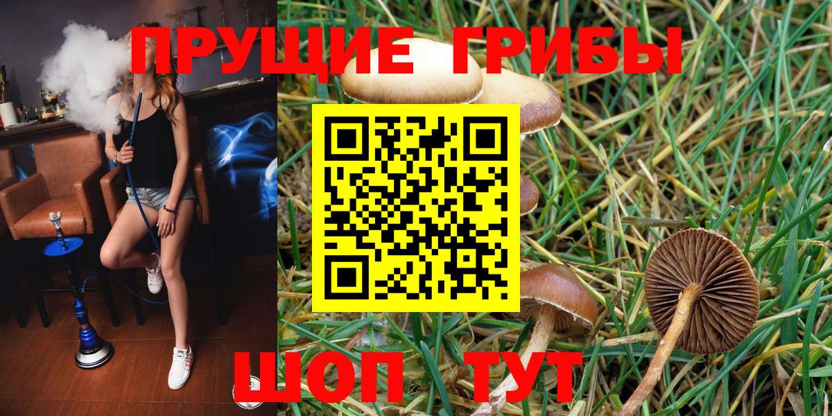 Омск  Псилоцибиновые грибы Psilocybe  Вход с VPN  Псилоцибиновые грибы прущие грибы 